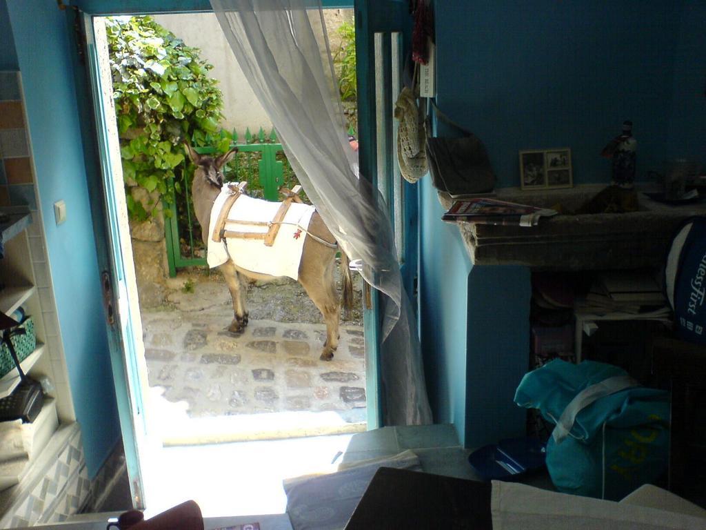 Blue Bench Krk Διαμέρισμα Krk Town Δωμάτιο φωτογραφία